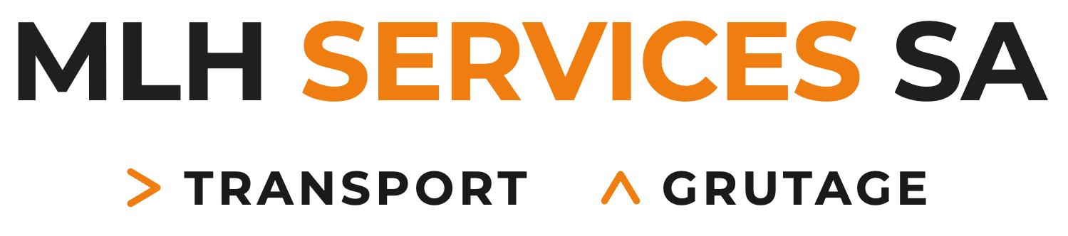 MLH Services